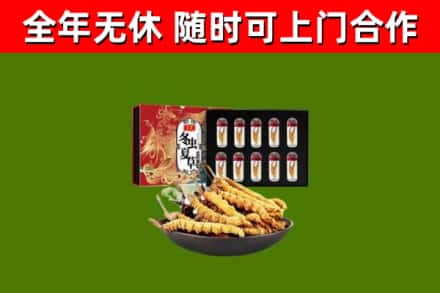黔江区回收冬虫夏草价格