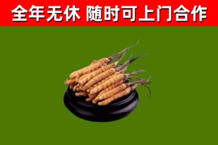 黔江区烟酒回收冬虫夏草.jpg