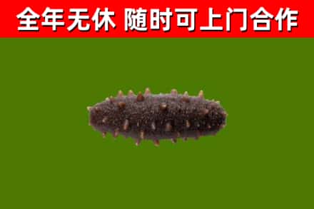 黔江区烟酒回收干海参.jpg